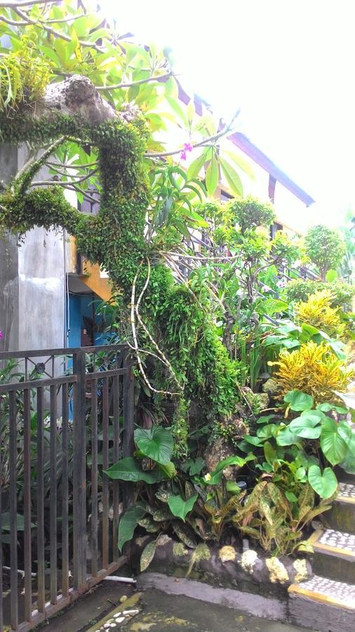 Betesda Guest House Canggu Extérieur photo